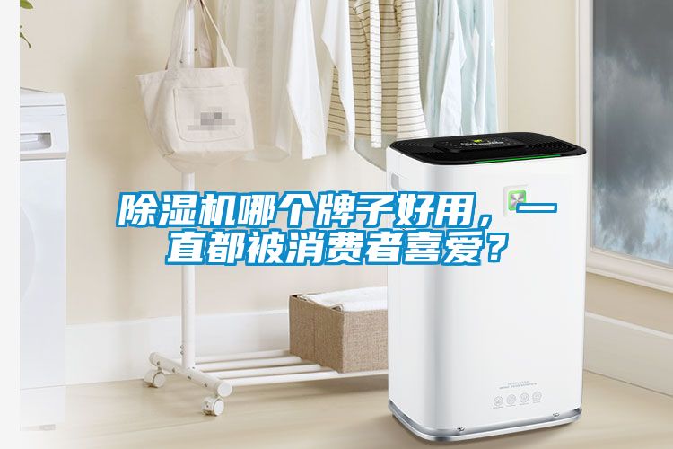 除濕機哪個(gè)牌子好用，一直都被消費者喜愛(ài)？