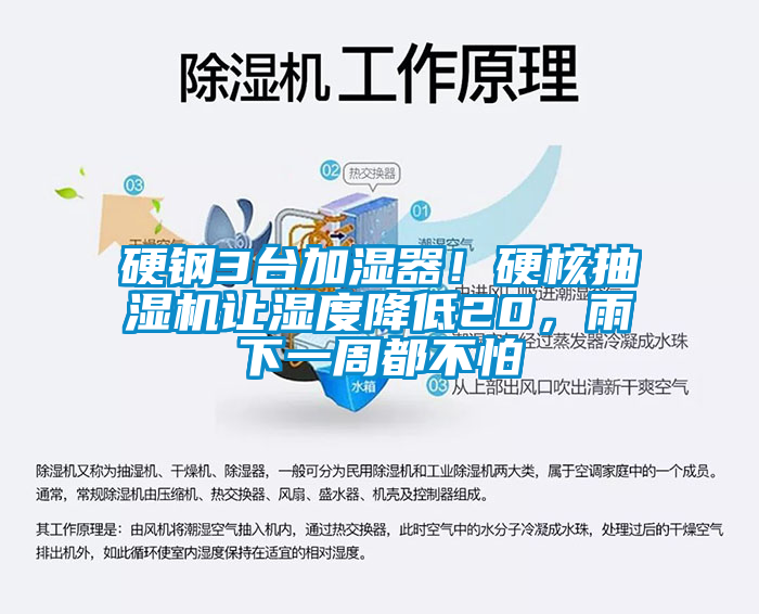 硬鋼3臺加濕器！硬核抽濕機讓濕度降低20，雨下一周都不怕