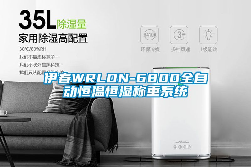 伊春WRLDN-6800全自動(dòng)恒溫恒濕稱(chēng)重系統