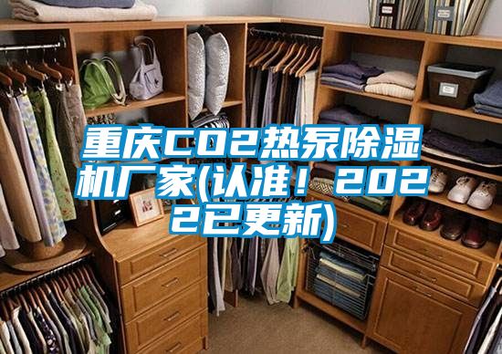 重慶CO2熱泵除濕機廠(chǎng)家(認準！2022已更新)