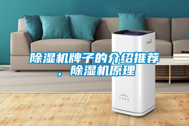 除濕機牌子的介紹推薦，除濕機原理