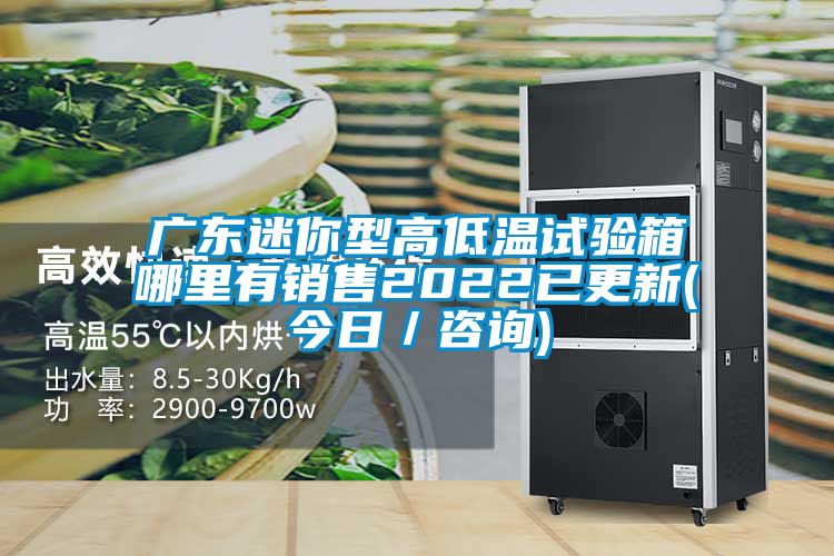 廣東迷你型高低溫試驗箱哪里有銷(xiāo)售2022已更新(今日／咨詢(xún))