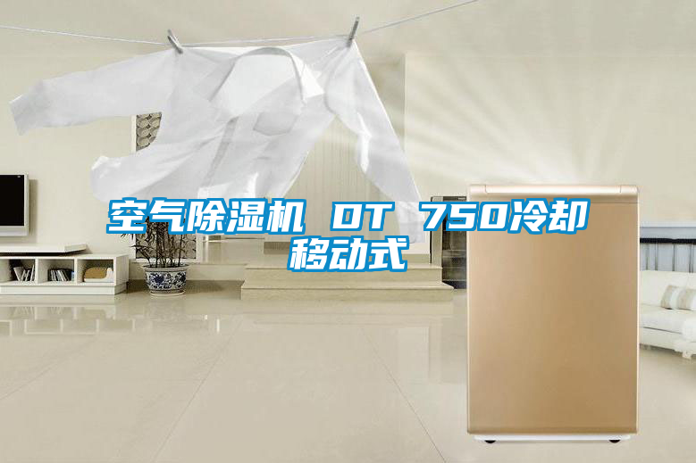 空氣除濕機 DT 750冷卻移動(dòng)式