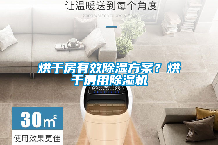 烘干房有效除濕方案？烘干房用除濕機