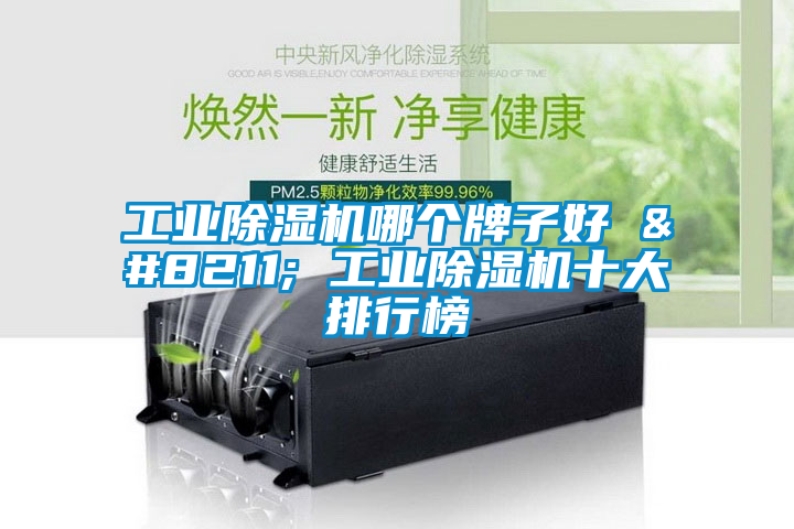 工業(yè)除濕機哪個(gè)牌子好 – 工業(yè)除濕機十大排行榜
