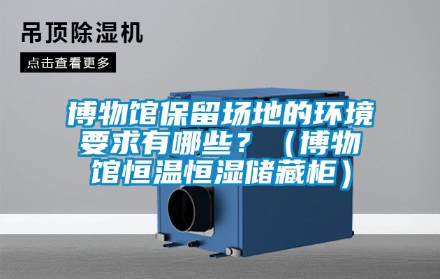 博物館保留場(chǎng)地的環(huán)境要求有哪些？（博物館恒溫恒濕儲藏柜）