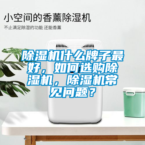 除濕機什么牌子最好，如何選購除濕機，除濕機常見(jiàn)問(wèn)題？