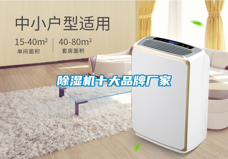 除濕機十大品牌廠(chǎng)家
