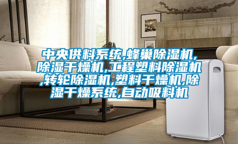 中央供料系統,蜂巢除濕機,除濕干燥機,工程塑料除濕機,轉輪除濕機,塑料干燥機,除濕干燥系統,自動(dòng)吸料機