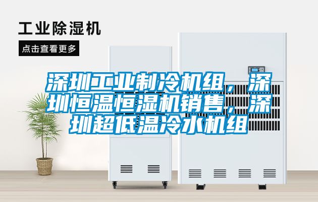 深圳工業(yè)制冷機組，深圳恒溫恒濕機銷(xiāo)售，深圳超低溫冷水機組