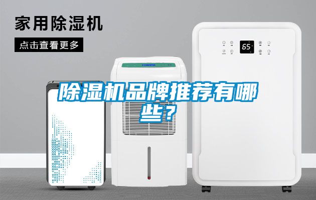 除濕機品牌推薦有哪些？