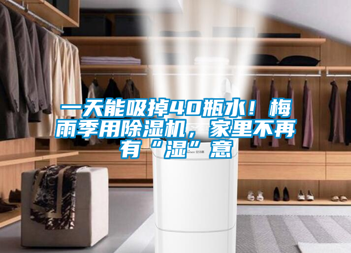 一天能吸掉40瓶水！梅雨季用除濕機，家里不再有“濕”意