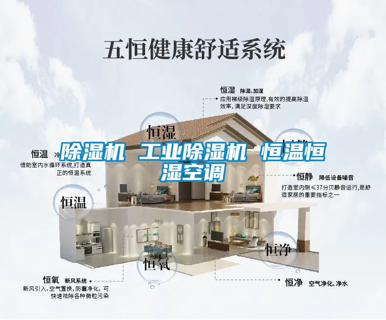 除濕機 工業(yè)除濕機 恒溫恒濕空調