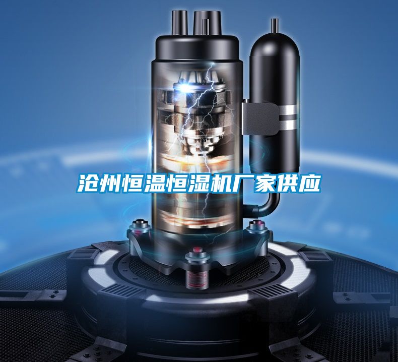 滄州恒溫恒濕機廠(chǎng)家供應