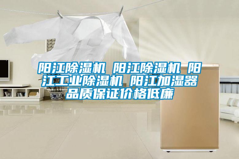 陽(yáng)江除濕機☆陽(yáng)江除濕機☆陽(yáng)江工業(yè)除濕機☆陽(yáng)江加濕器品質(zhì)保證價(jià)格低廉