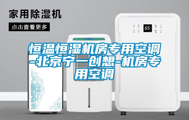 恒溫恒濕機房專(zhuān)用空調-北京寧一創(chuàng  )想-機房專(zhuān)用空調