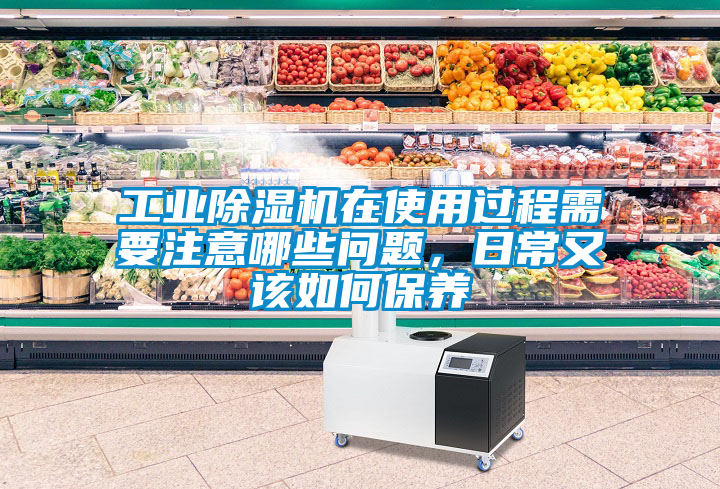 工業(yè)除濕機在使用過(guò)程需要注意哪些問(wèn)題，日常又該如何保養