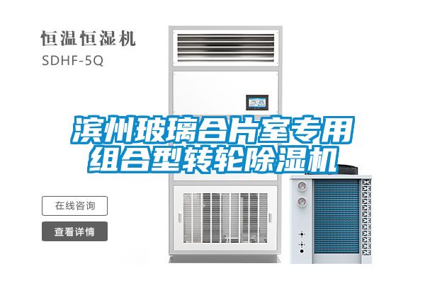 濱州玻璃合片室專(zhuān)用組合型轉輪除濕機
