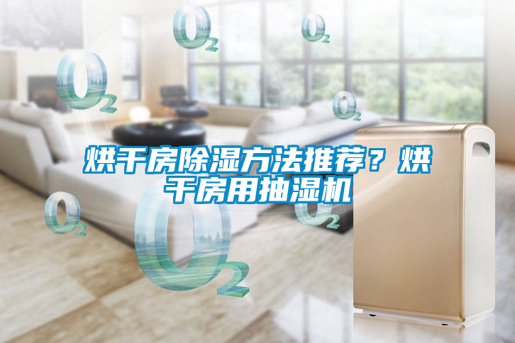 烘干房除濕方法推薦？烘干房用抽濕機
