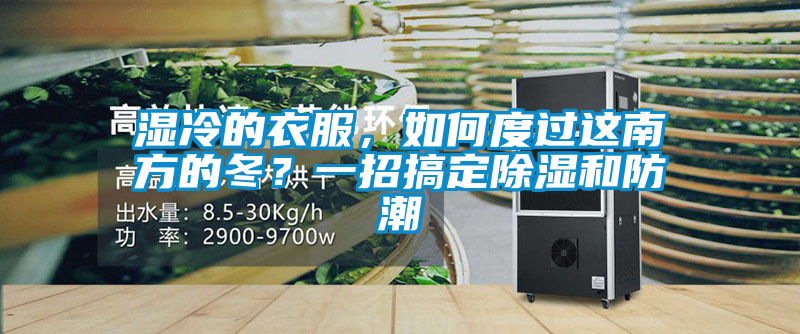 濕冷的衣服，如何度過(guò)這南方的冬？一招搞定除濕和防潮