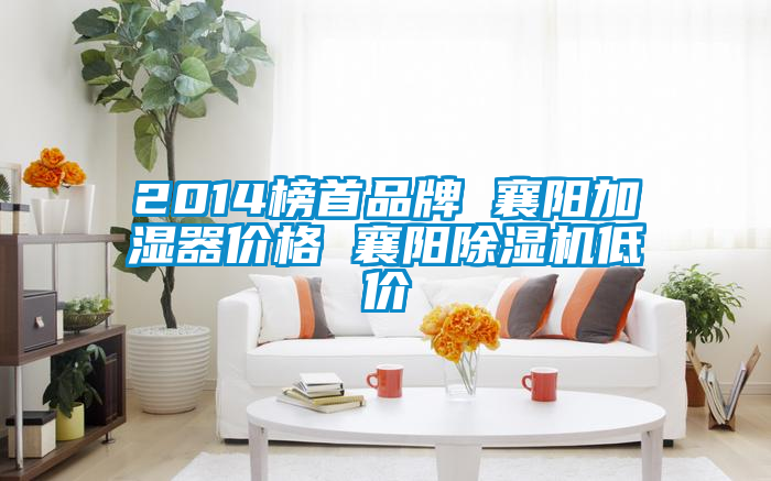2014榜首品牌 襄陽(yáng)加濕器價(jià)格 襄陽(yáng)除濕機低價(jià)