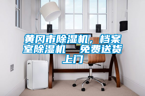 黃岡市除濕機，檔案室除濕機  免費送貨上門(mén)
