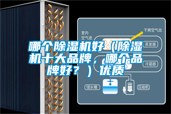 哪個(gè)除濕機好（除濕機十大品牌，哪個(gè)品牌好？）優(yōu)質(zhì)