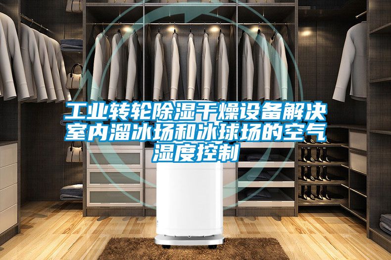 工業(yè)轉輪除濕干燥設備解決室內溜冰場(chǎng)和冰球場(chǎng)的空氣濕度控制