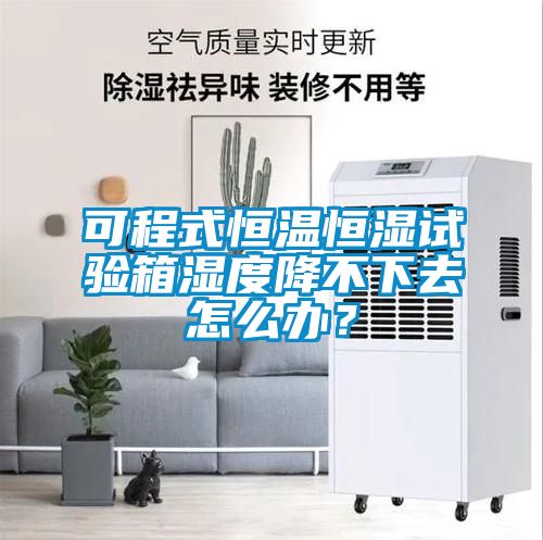 可程式恒溫恒濕試驗箱濕度降不下去怎么辦？