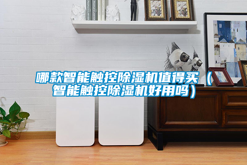 哪款智能觸控除濕機值得買(mǎi)（智能觸控除濕機好用嗎）