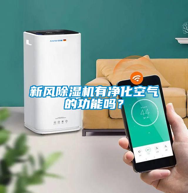 新風(fēng)除濕機有凈化空氣的功能嗎？