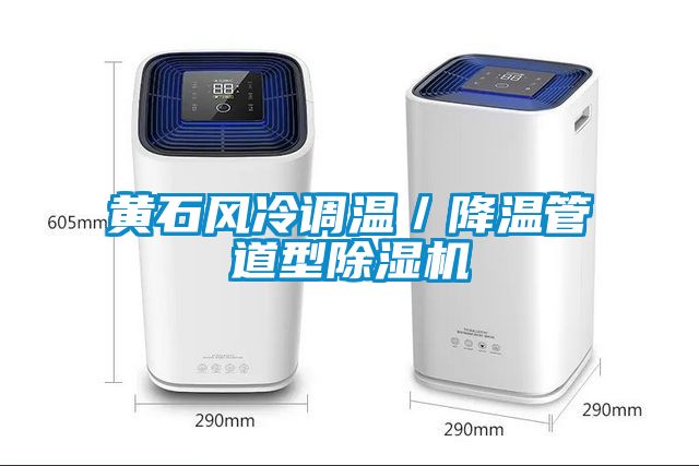黃石風(fēng)冷調溫／降溫管道型除濕機