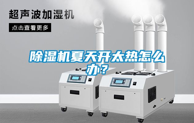 除濕機夏天開(kāi)太熱怎么辦？