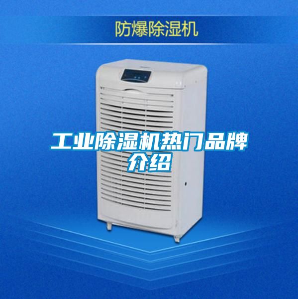 工業(yè)除濕機熱門(mén)品牌介紹