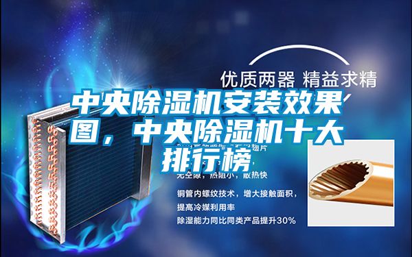 中央除濕機安裝效果圖，中央除濕機十大排行榜