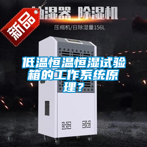 低溫恒溫恒濕試驗箱的工作系統原理？