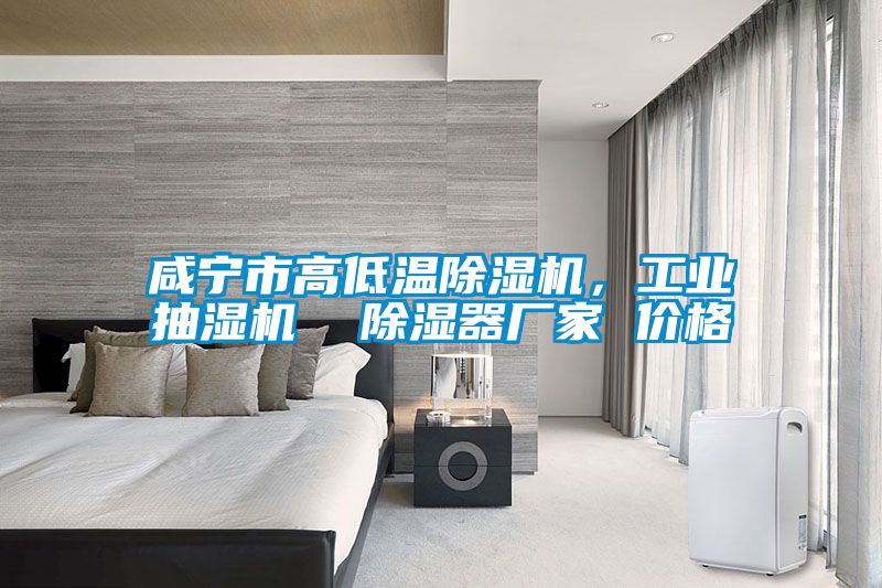 咸寧市高低溫除濕機，工業(yè)抽濕機  除濕器廠(chǎng)家 價(jià)格