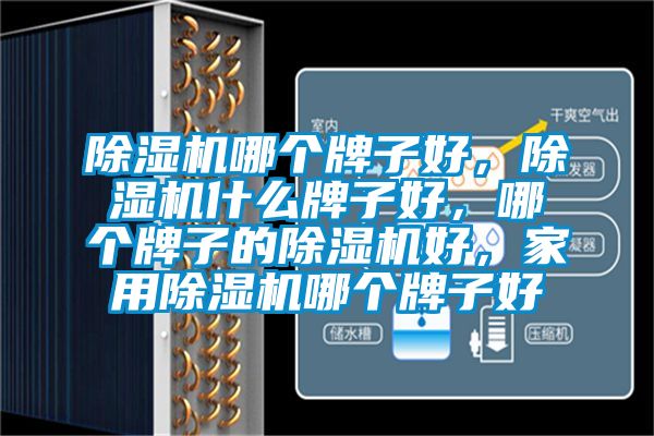 除濕機哪個(gè)牌子好，除濕機什么牌子好，哪個(gè)牌子的除濕機好，家用除濕機哪個(gè)牌子好