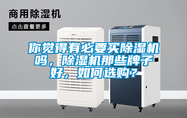 你覺(jué)得有必要買(mǎi)除濕機嗎，除濕機那些牌子好，如何選購？