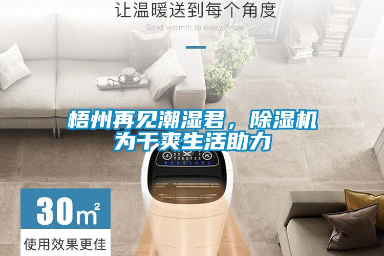 梧州再見(jiàn)潮濕君，除濕機為干爽生活助力