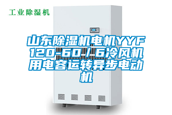 山東除濕機電機YYF120-60／6冷風(fēng)機用電容運轉異步電動(dòng)機