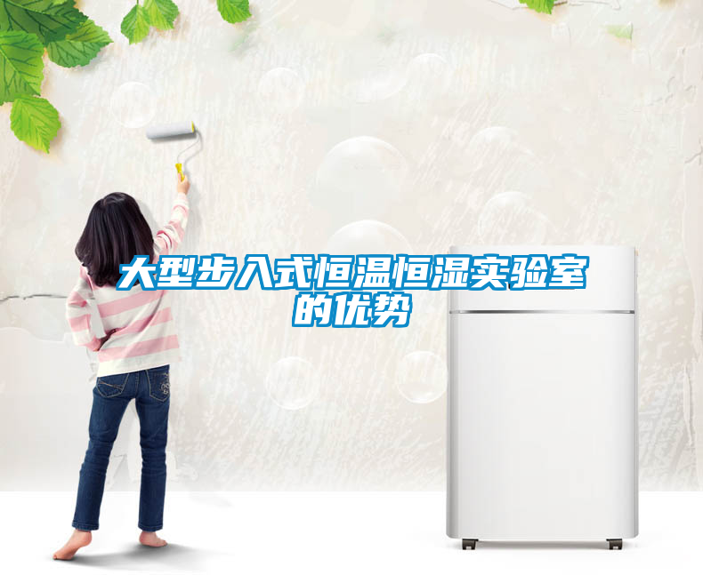 大型步入式恒溫恒濕實(shí)驗室的優(yōu)勢