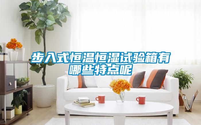 步入式恒溫恒濕試驗箱有哪些特點(diǎn)呢