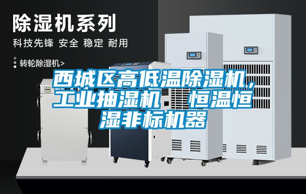 西城區高低溫除濕機，工業(yè)抽濕機  恒溫恒濕非標機器