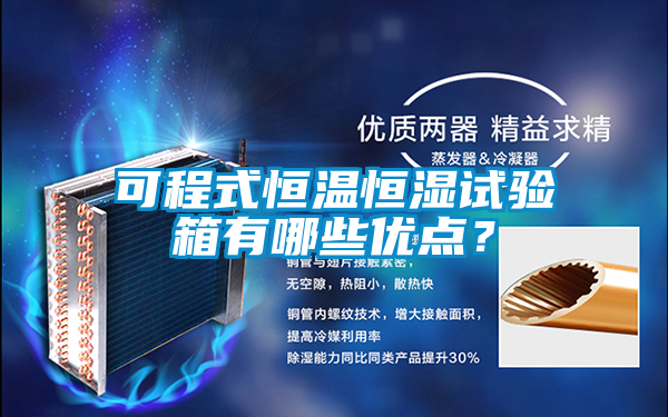 可程式恒溫恒濕試驗箱有哪些優(yōu)點(diǎn)？