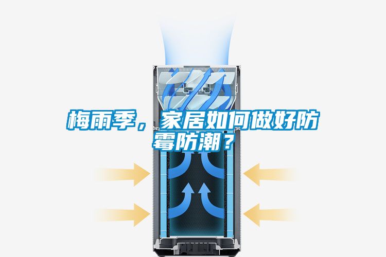 梅雨季，家居如何做好防霉防潮？