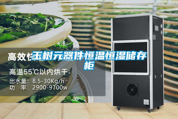 玉樹(shù)元器件恒溫恒濕儲存柜