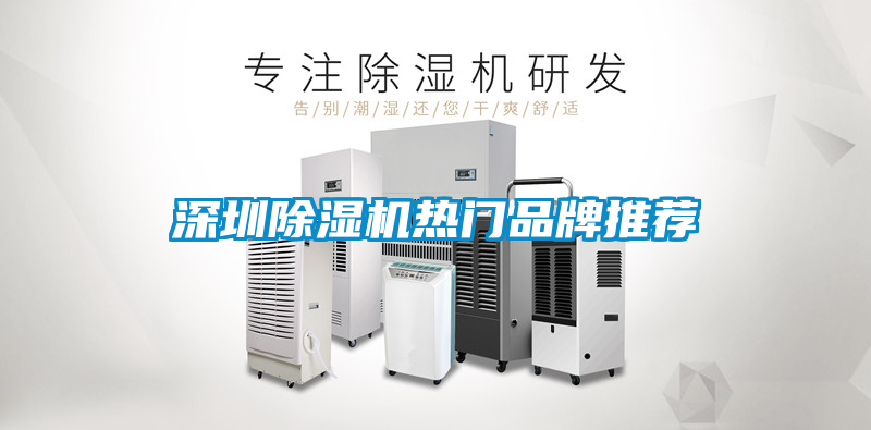 深圳除濕機熱門(mén)品牌推薦