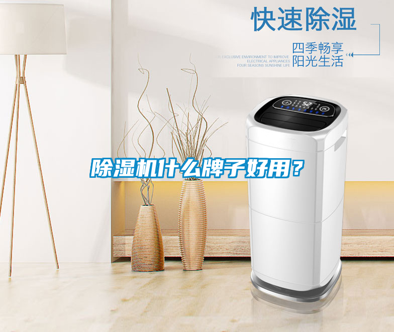 除濕機什么牌子好用？