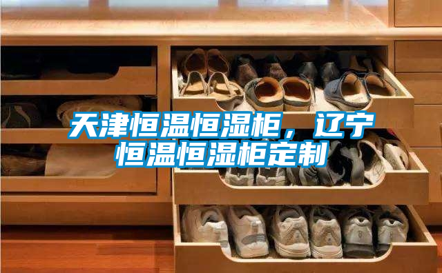 天津恒溫恒濕柜，遼寧恒溫恒濕柜定制